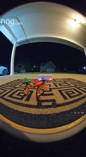 Three cockroaches caught dancing samba on doorbell cam #Cockroach #Funny #ViralReels #WildReactions #Comedy #Dance #DoorbellCamDisclosure: Short visual stories crafted with cinematic techniques. Some scenes may be composited, stylized, or reenacted for entertainment. Don’t take it too seriously — just AI fun! 珞 Wishing you a wonderful day!  | Judy | Facebook