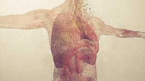 Breathtaking: What Is PM2.5?