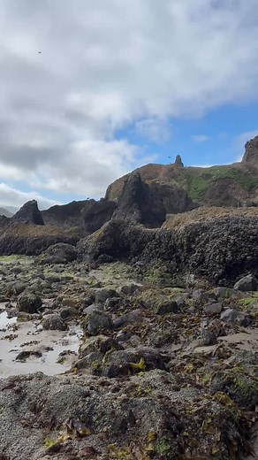 Our beloved tide pools from earlier this year for today’s dose of Oregon Coast therapy. We’ll get few chances to see them again until next year, I miss them already. Salty Raven stores are open 11-5 everyday. Cannon Beach * Tillamook * Astoria Saltyraven.net #tidepool #tidepools #cannonbeach #haystackrock #cannonbeachoregon #oregon #oregoncoast #oregonisbeautiful #oceantherapy #pnw #oregonartist #saltyraven #saltyravencannonbeach #saltyravenastoria | Salty Raven Cannon Beach