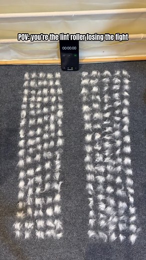 148K views · 3.3K reactions | LINK IN BIO - Buy this Pet Hair Remover Glove for 50% OFF!  Sale Ends Soon ⏳  Press link in @cxtcomfy Bio to Shop!  SAVE 50% Off Limited Time Only at: @cxtcomfy | Cxtcomfy | Facebook