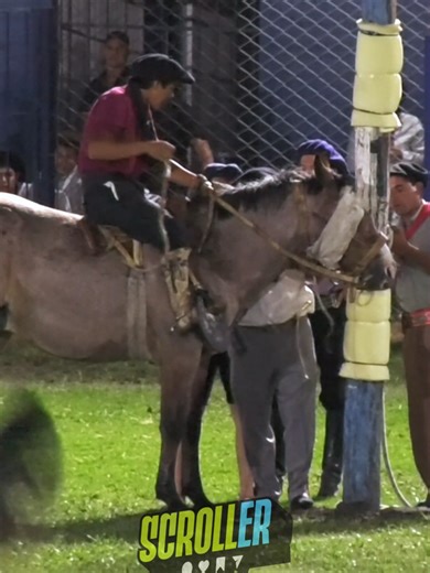 Revivimos lo mejor de la categoría Bastos con Encimera en la 43° edición de la Jineteada y Bailanta del Martín Fierro. El pasado 27 de diciembre, el campo de Maciá vibró con el nivel de estos reservados. Calidad de streaming de Scroll.er ¿Sabés quién es el jinete de esta monta? ¡Etiquetalo en los comentarios! 👇 📢 Compartí este Reel con ese amigo que no se pierde un festival. ✅ Seguí a Scroller para ver toda la cobertura de la provincia. . . . #Maciá #EntreRíos #Jineteada #BastosConEncimera #Ma