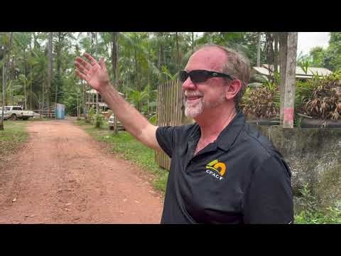 In search of hidden highway clear-cutting the Amazon to COP30