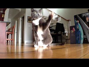 24fps Filmic Pro Test Video #2