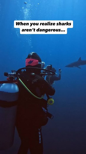 69 reactions | Sharks aren’t dangerous, but they are endangered. And...