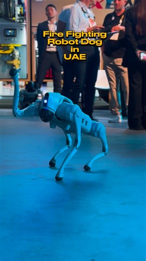 The Product Master Official on Instagram: "NAFFCO, a Dubai-based leader in fire and safety solutions, has showcased AI-powered firefighting robot dogs designed for use in high-risk, extreme environments such as high-rise blazes. These robots are built to go where humans cannot, providing crucial data and assistance during emergencies... at Intersec & Light+ Intelligent Building Middle East, Trade Center Dubai #theproductmaster #dubai #uae"