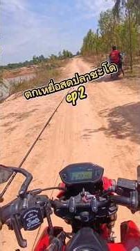 ตกเหยื่อสดปลาชะโดด้วย อกไก่ ep 2 #ตกปลา #ตกปลาชะโด #ตกชะโด #ตกชะโดด้วยเหยื่อสด #fishing