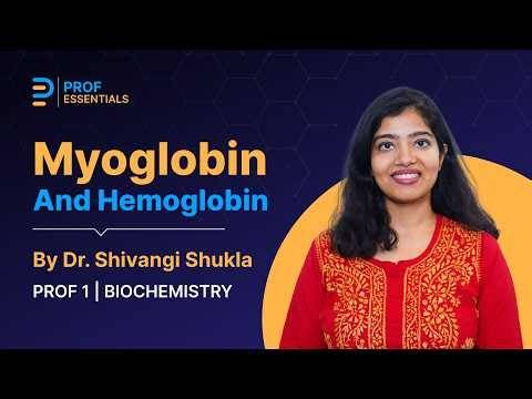 Myoglobin and Hemoglobin