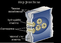 Inside a Cell: Page 3
