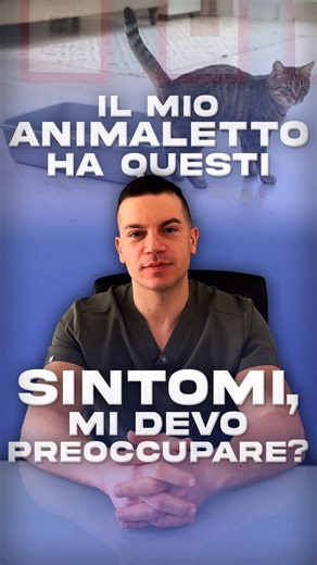 Il mio animale ha questi sintomi mi devo preoccupare? 🐶 🐱 🎥: @kube_agency #veterinario #clinicasantanna #lecce