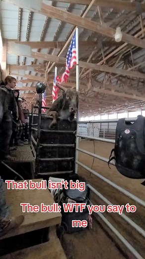 1.7M views · 5.1K reactions | Things got western at the practice pen. You got to know these bulls are bread for this and are the most amazing animals. I love this bull and other than this jump he's a big ole happy boy. We love our bulls and wouldn't give them up for anything. #rodeo #bull #western #bullriding #nfr #pbr #prca #practice | Bull Riding | Facebook