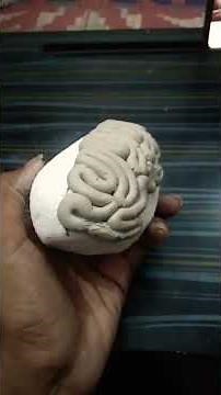 3D Brain model for the school science project