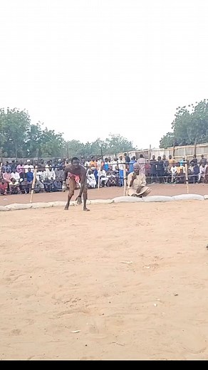 Amazing Dambe in Sokoto 2025 | Damben African news tv