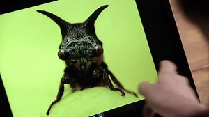 Interact more naturally with your screen. Windows 10 PCs do more, just like you. http://bit.ly/24rjZsw | Windows