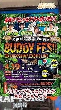 こんにちは！山田りゅうじです！勝手に応援！第2回BUDDY FES開催ですよ！ #霧島市 #山田りゅうじ #BUDDYFES #爬虫類 #勝手に応援 #霧島をすすめる #shorts