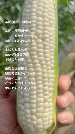 基肥•追肥100%有機質肥料のとうもろこし🌽 【極肥料】【超微生物】【白とうもろこし】