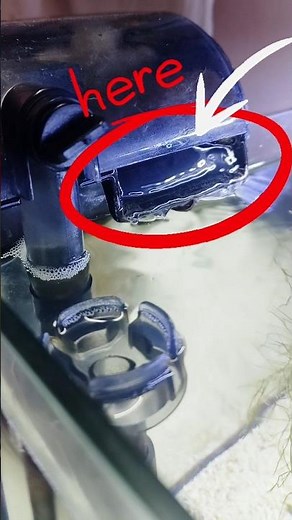 🧼 How to Clean Aquarium Filter Pipe | Boost Water Flow Naturally! 🌊