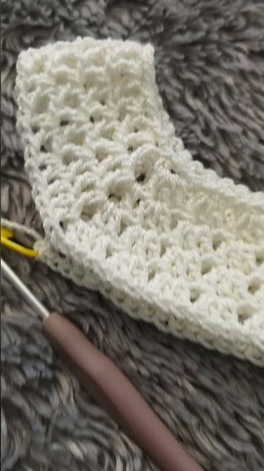 New Crochet Project | Raglan Technique |Top Down Blouse