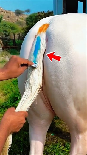 He Was Almost Fired… Then This Happened 😳🔥