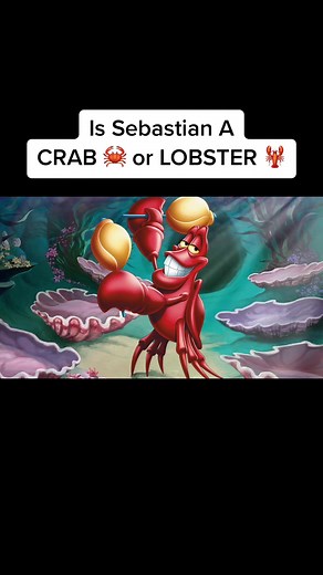 Is Sebastian (The Little Mermaid) a crab or a lobster? ##thelittlemermaid##sebastian##crab##lobster##craborlobster##disney##disneymovies##littlemermaid