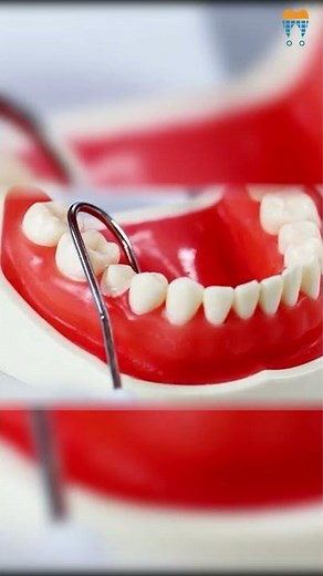 Effortless Dental Diagnostics with Waldent Electric Pulp Tester #dentist #dentalkart