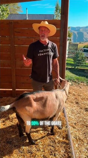 CD&T Vaccine Bump? Here’s Why It’s OK