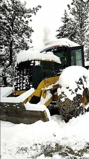 CATERPILLAR DIESEL 3126 COLD START & SOUND | CAT 535B SKIDDER