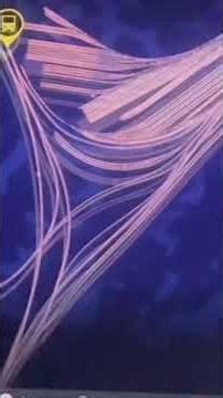 Testing the (NR) Network Rail PEP again 313121 departs Selhurst via East Croydon on TSW 6