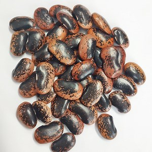 [Hot Item] Export Large Black Purple Speckled Kidney Beans