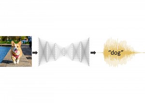 Deep Learning Networks Prefer the Human Voice—Just Like Us