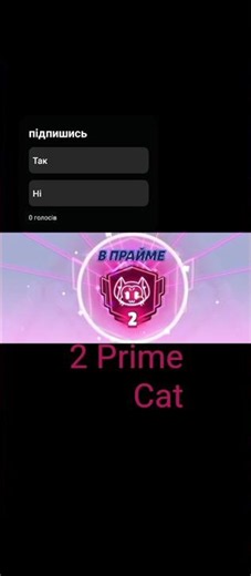 2 Prime Cat