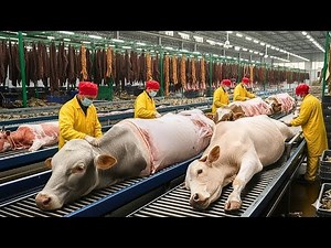 Inside the Cow Leather Factory – How Million-Dollar Products Are Made from Cow Skin (Full Process)