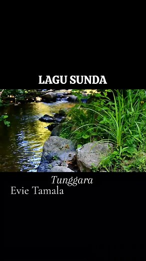 Tunggara - Evie Tamala | Lagu Sunda Populer Full Album