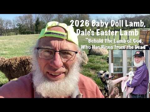 2026 Baby Doll, Easter Lamb