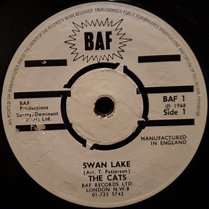 The Cats - Swan Lake