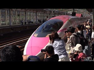さよなら「ハローキティ新幹線」 500系新幹線V2編成ラストラン 2026.5.17 Farewell SHINKANSEN 500 Series "Hello Kitty"