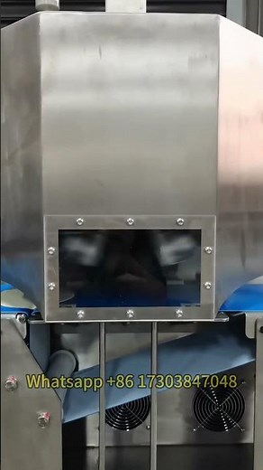 How a Dumpling Skin Machine Works: From Dough to Perfect Wrappers in Seconds!