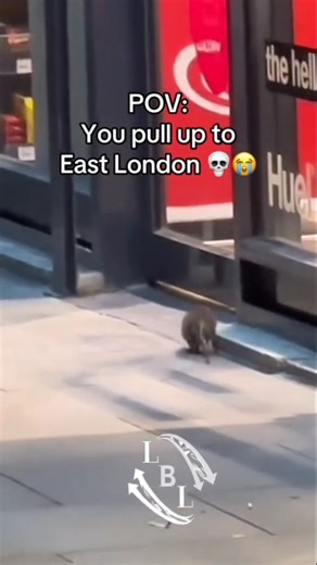 Does Tower Hamlets really reflect the image its council promotes? Tower Hamlets Council claims it has a “rich history of migration and diversity” and an “inclusive culture” — home to over 325,000 residents speaking more than 90 languages. The council also hopes to be recognised as a “Borough of Sanctuary.” But walk through the borough — from Brick Lane to Whitechapel — and the picture looks very different. With littered streets, neglected areas, and rats the size of small dogs, many are asking w