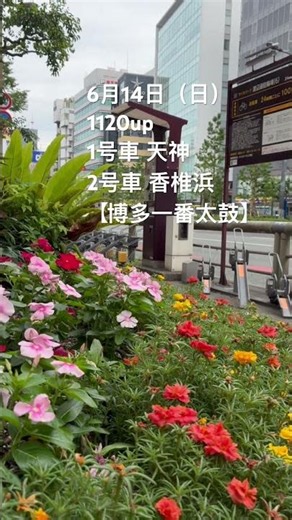 6月14日（日）1号車 天神、2号車 香椎浜【博多一番太鼓】