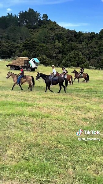 Cowboys and indians #fyp #foryou #foryoupage #fypシ゚ #fypage #cowboy #horses #fouryou #cowboysandindians #bush #paddock #road #besthorses #yellowstonetv #yellowstone #eastside #newzealand