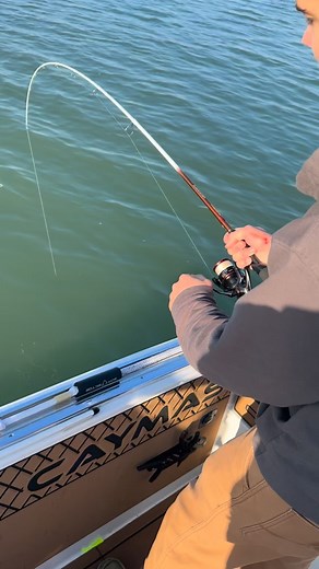 472 reactions · 29 comments | Secret weapon 狼 #galidasgrubz | XTR Fishing Charters | Facebook