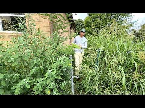 Something TERRIBLE happened on this block and nobody really talks about it