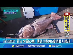 日本地震預言倒數! 釜山海域連捕罕見深海魚 距日本僅50里! 傳說巨型魚5度現蹤引聯想 地震前兆? 漁民罕捕獲深海魚"一次三隻"│記者 謝涵宇│國際焦點20250701│三立新聞台