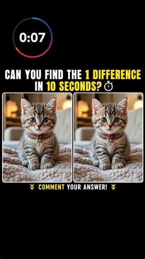 find 1 difference