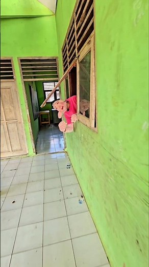 peeking out the window⁉️