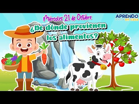 ¿DE DÓNDE PROVIENEN LOS ALIMENTOS? 🌱🐄🥛 Miércoles 21 - Octubre
