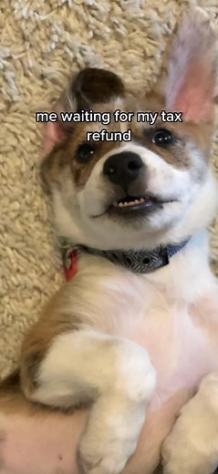 Everlance (@everlance)’s videos with Oh My God! - C_O