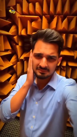 Exploring the World’s Quietest Room Experience