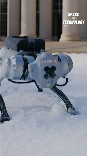 MIT's New Mini Cheetah Robot #robotics