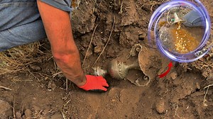 32 reactions | great real treasure hunt | Treasure Hunter | Facebook