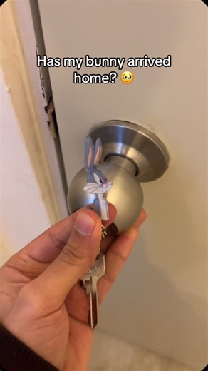 Keys Match 🗝️ on Instagram: "Couple keychain #keychain #couplegoals #igreels"